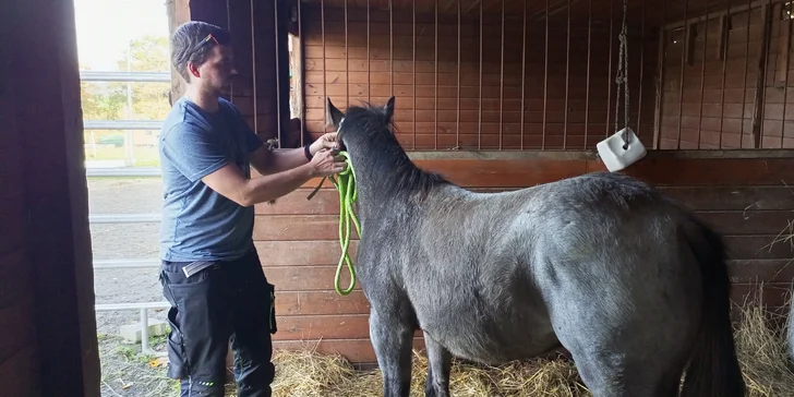 Farmářem na zkoušku: den na statku, jízda na koni, práce se zvířaty