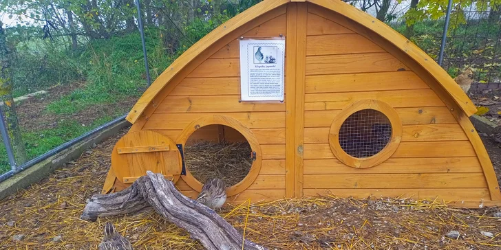 Farmářem na zkoušku: den na statku, jízda na koni, práce se zvířaty