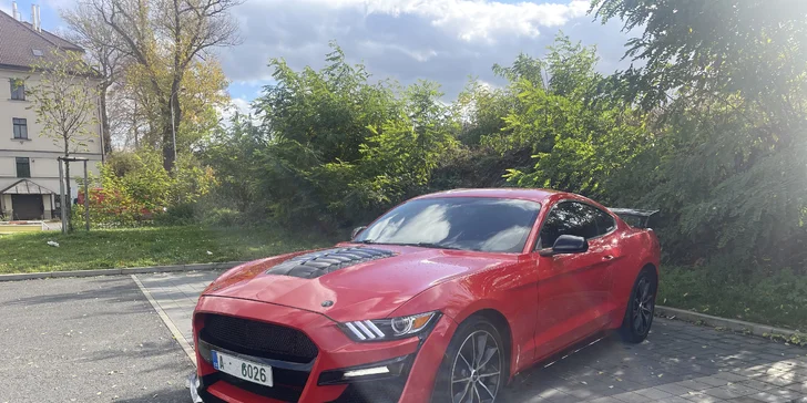 Brutální jízda v Mustangu GT Shelby paket: 15–60 minut včetně paliva i dálniční známky