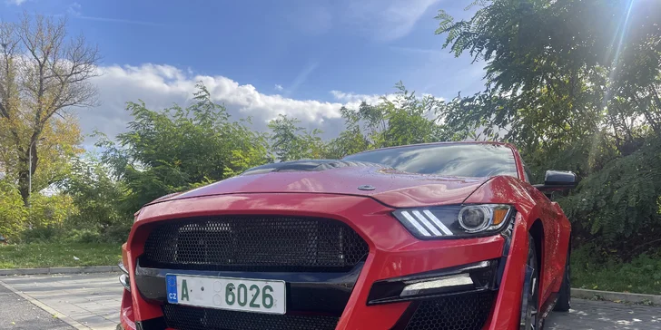 Brutální jízda v Mustangu GT Shelby paket: 15–60 minut včetně paliva i dálniční známky