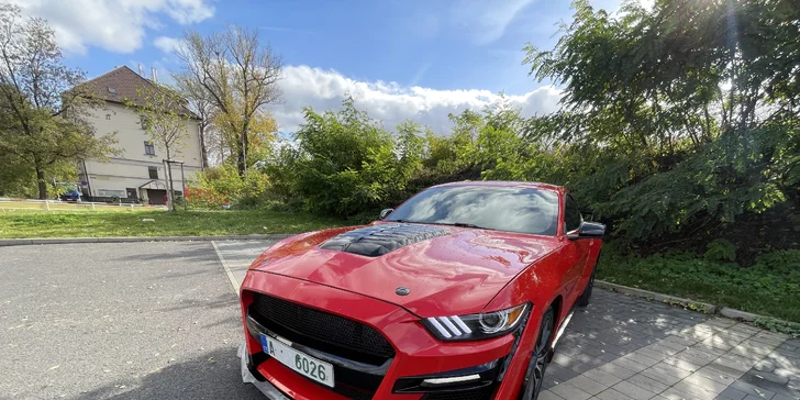 Brutální jízda v Mustangu GT Shelby paket: 15–60 minut včetně paliva i dálniční známky