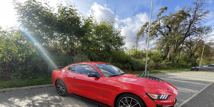 Brutální jízda v Mustangu GT Shelby paket: 15–60 minut včetně paliva i dálniční známky