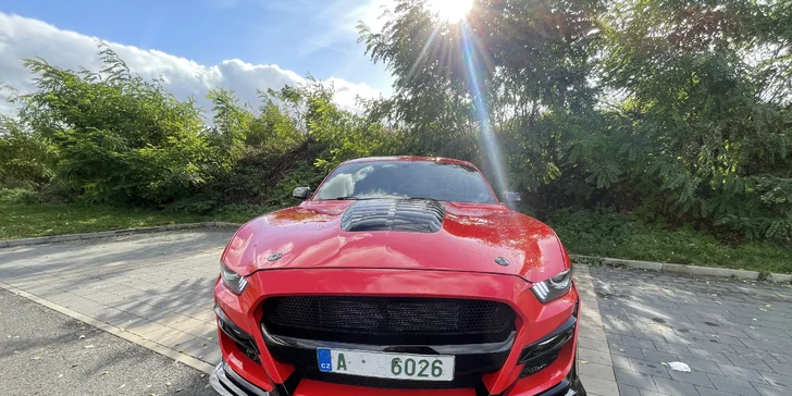 Brutální jízda v Mustangu GT Shelby paket: 15–60 minut včetně paliva i dálniční známky