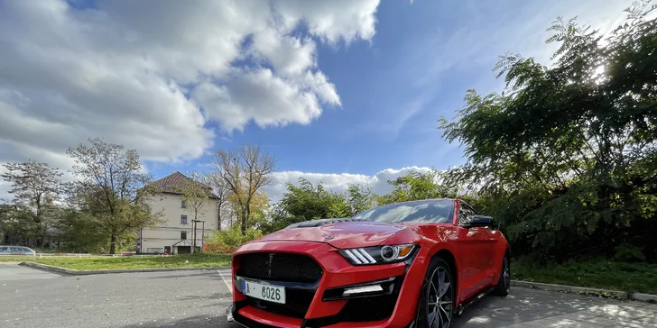 Brutální jízda v Mustangu GT Shelby paket: 15–60 minut včetně paliva i dálniční známky