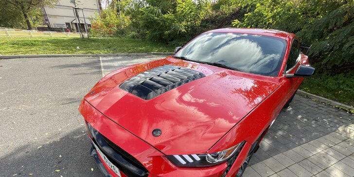 Brutální jízda v Mustangu GT Shelby paket: 15–60 minut včetně paliva i dálniční známky