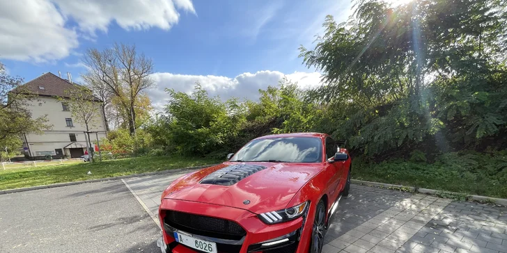 Brutální jízda v Mustangu GT Shelby paket: 15–60 minut včetně paliva i dálniční známky