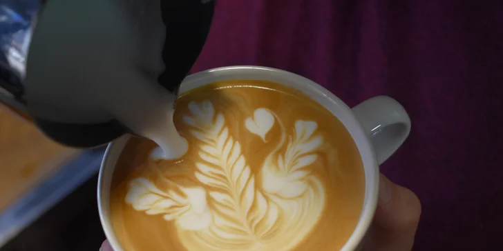 Kurz domácí přípravy kávy či latte art pro 1 nebo 2 osoby v Café Alegre