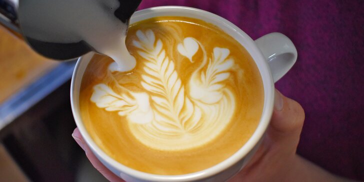 Kurz domácí přípravy kávy či latte art pro 1 nebo 2 osoby v Café Alegre
