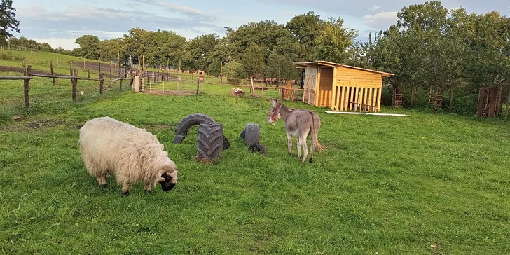 Farmářem na zkoušku: den na statku, jízda na koni, práce se zvířaty