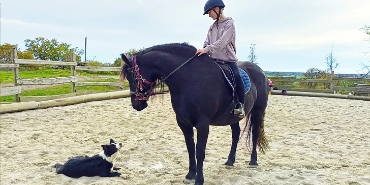 Farmářem na zkoušku: den na statku, jízda na koni, práce se zvířaty