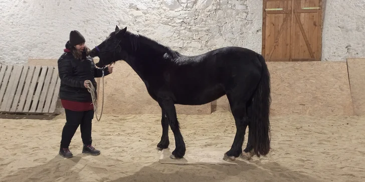 Farmářem na zkoušku: den na statku, jízda na koni, práce se zvířaty