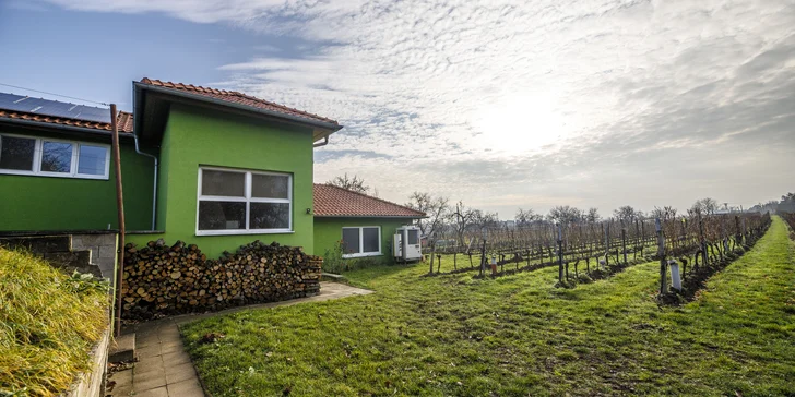 Pobyt v penzionu rodinného vinařství pro páry i skupiny vč. vína nebo degustace