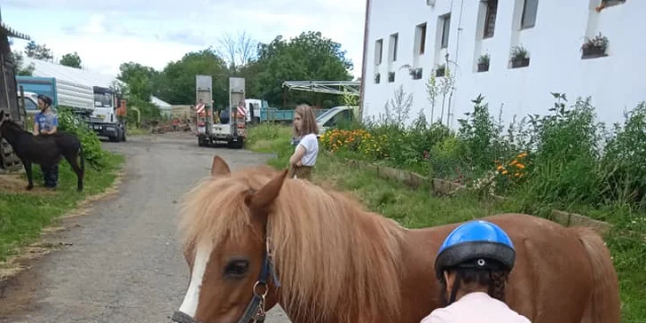 Projížďka na oslíkovi nebo poníkovi: zážitek v přírodě pro děti i dospělé