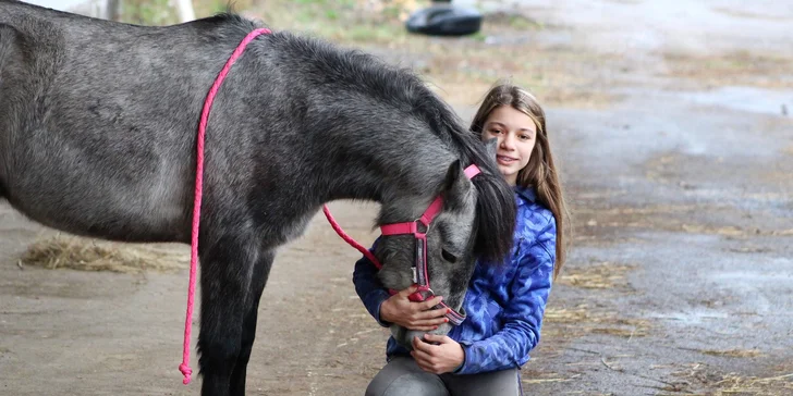 Projížďka na oslíkovi nebo poníkovi: zážitek v přírodě pro děti i dospělé