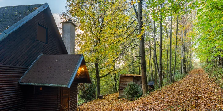 Pobyt v malebné wellness chatě u lesa: sauna, vířivka i zapůjčení lodičky