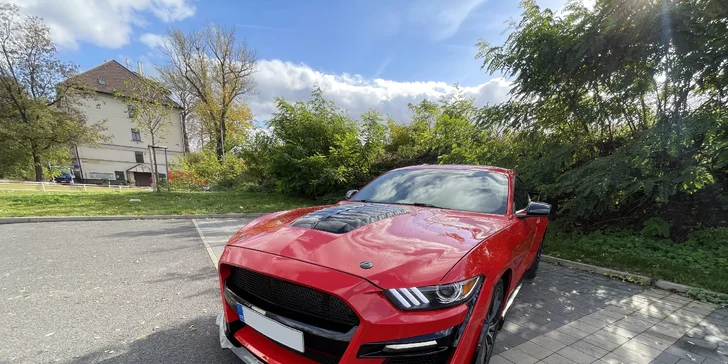 Pronájem Fordu Mustang GT v Shelby paketu na 40 min. nebo až 24 hodin ve všední dny