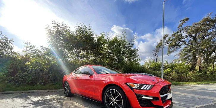 Pronájem Fordu Mustang GT v Shelby paketu na 40 min. nebo až 24 hodin ve všední dny