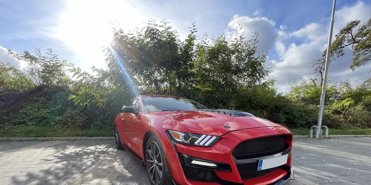 Pronájem Fordu Mustang GT v Shelby paketu na 40 min. nebo až 24 hodin ve všední dny