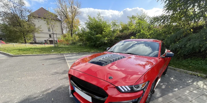 Pronájem Fordu Mustang GT v Shelby paketu na 40 min. nebo až 24 hodin ve všední dny