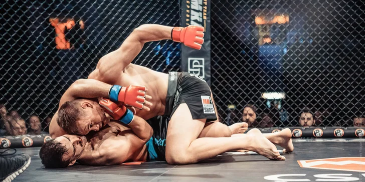 Privátní trénink s bývalým zápasníkem UFC Viktorem Peštou pro jednoho i dva bijce