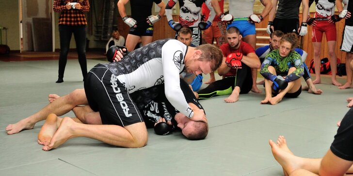 Privátní trénink s bývalým zápasníkem UFC Viktorem Peštou pro jednoho i dva bijce