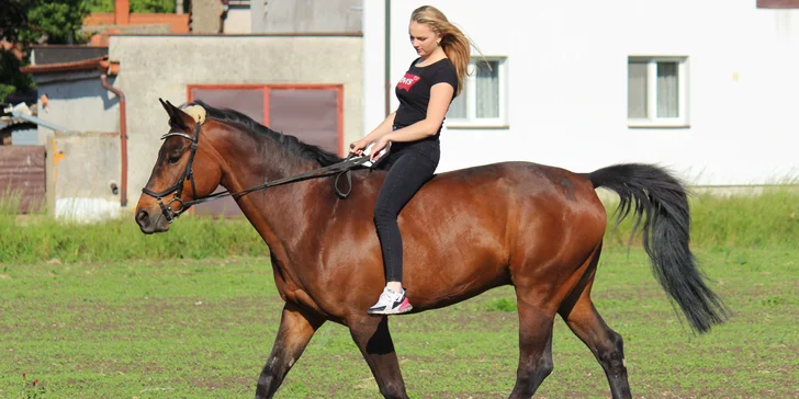 Zábava v sedle: příměstský tábor s koňmi pro děti od 6 let do 18 let