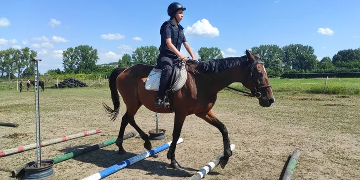 Zábava v sedle: příměstský tábor s koňmi pro děti od 6 let do 18 let