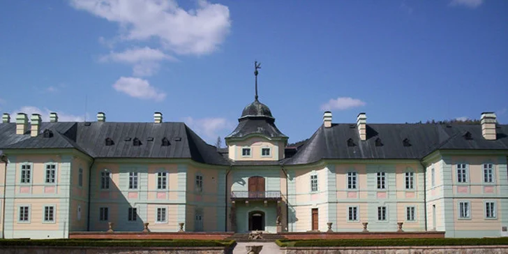 Tatarák z hovězí svíčkové v Zámecké restauraci v Manětíně