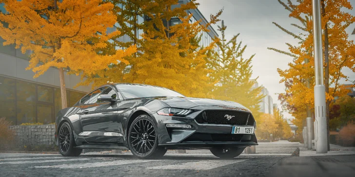 Supervýkonný Mustang GT 5.0 V8: 20–50 km řízení či spolujízdy a dost času na focení