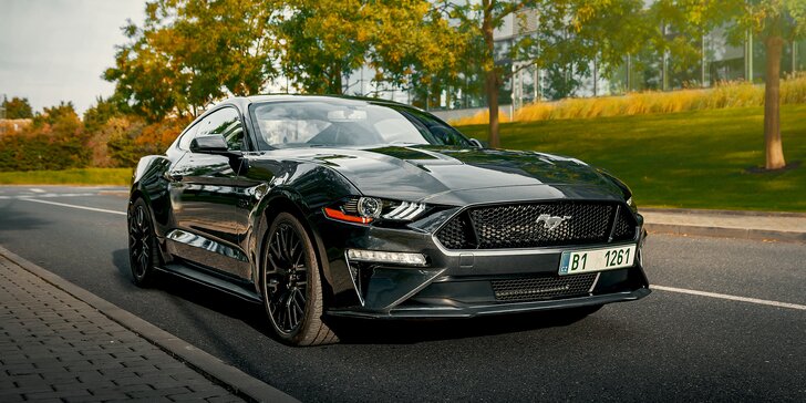 Supervýkonný Mustang GT 5.0 V8: 20–50 km řízení či spolujízdy a dost času na focení