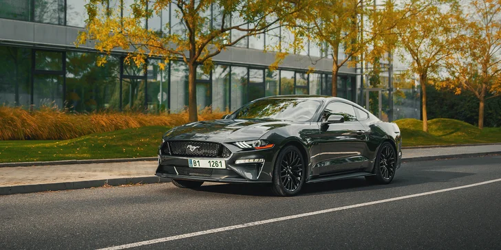 Supervýkonný Mustang GT 5.0 V8: 20–50 km řízení či spolujízdy a dost času na focení