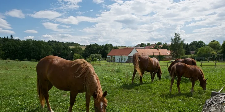 Designový hotel v Písku: restaurace zaměřená na lokální suroviny i balíček s vyjížďkou na koni