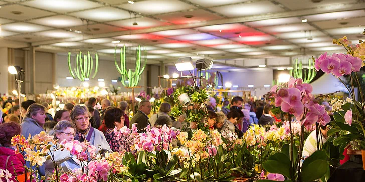 Vlakem do Drážďan: prohlídka města i návštěva mezinárodní výstavy orchidejí