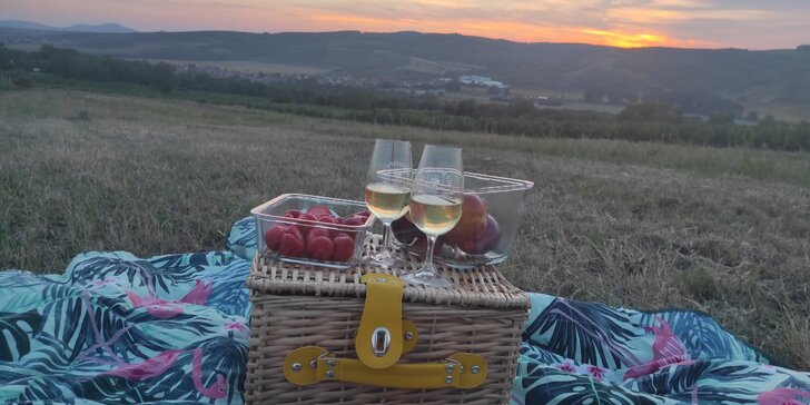 Degustace vín z Kobylí: občerstvení, prohlídka vinařství i piknik ve vinicích