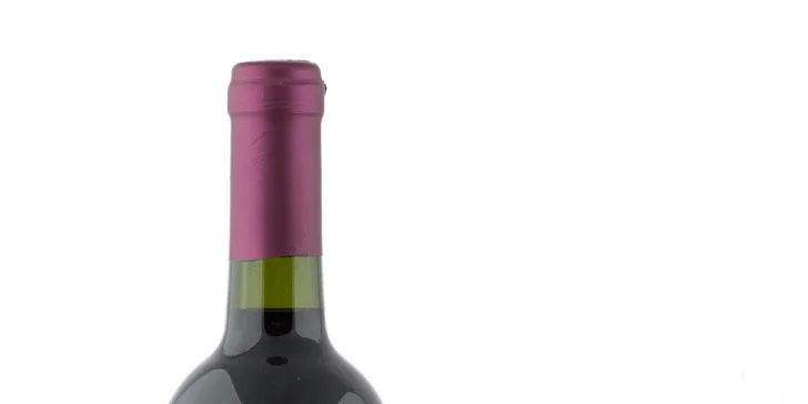 Degustace vín z Kobylí: občerstvení, prohlídka vinařství i piknik ve vinicích