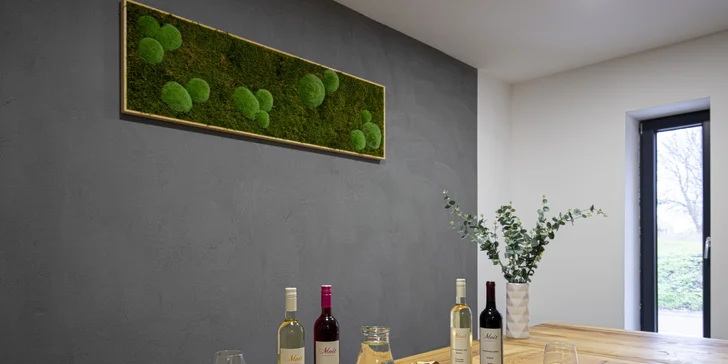Degustace vín z Kobylí: občerstvení, prohlídka vinařství i piknik ve vinicích