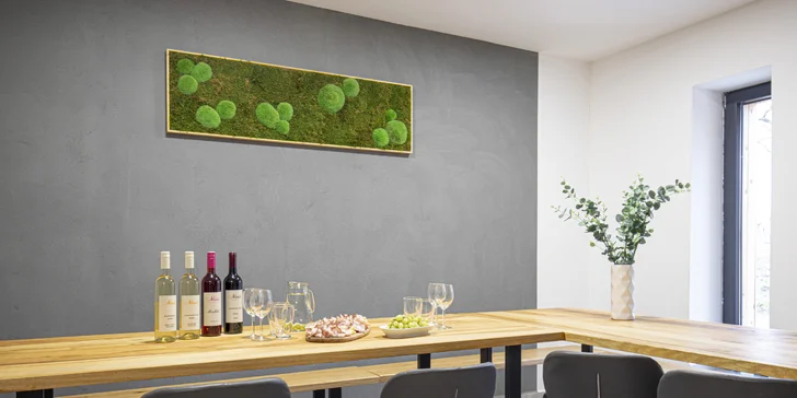 Degustace vín z Kobylí: občerstvení, prohlídka vinařství i piknik ve vinicích