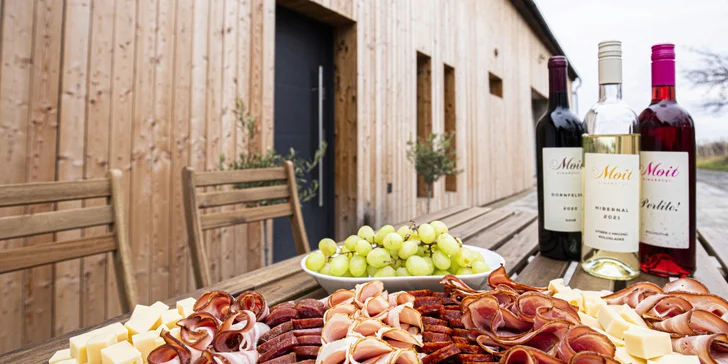 Degustace vín z Kobylí: občerstvení, prohlídka vinařství i piknik ve vinicích
