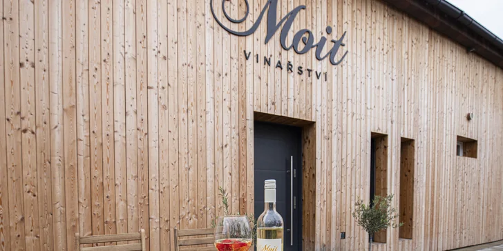 Degustace vín z Kobylí: občerstvení, prohlídka vinařství i piknik ve vinicích