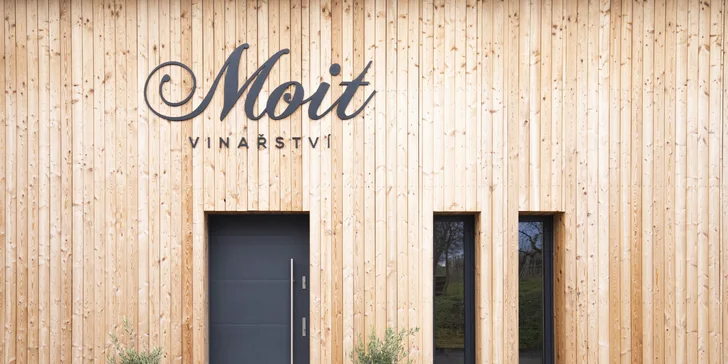 Degustace vín z Kobylí: občerstvení, prohlídka vinařství i piknik ve vinicích