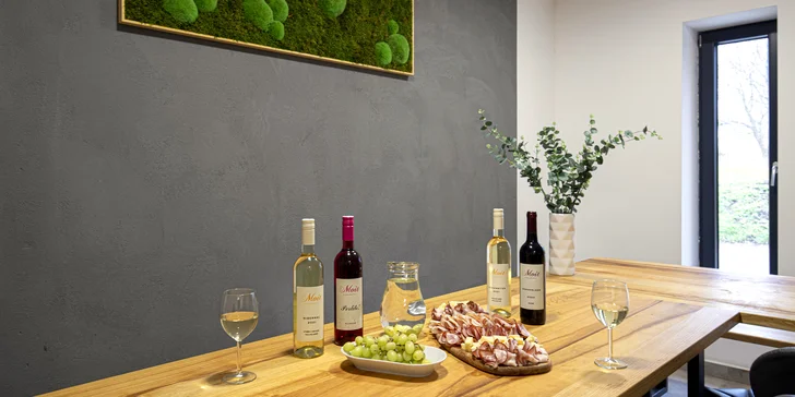 Degustace vín z Kobylí: občerstvení, prohlídka vinařství i piknik ve vinicích