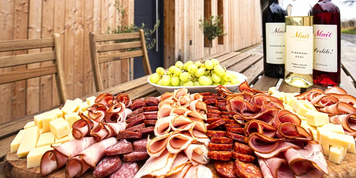 Degustace vín z Kobylí: občerstvení, prohlídka vinařství i piknik ve vinicích