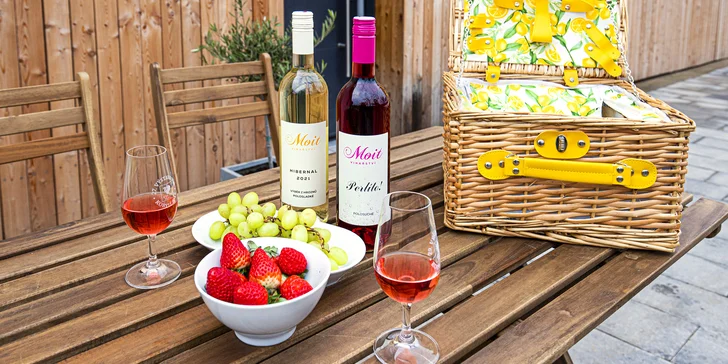 Degustace vín z Kobylí: občerstvení, prohlídka vinařství i piknik ve vinicích