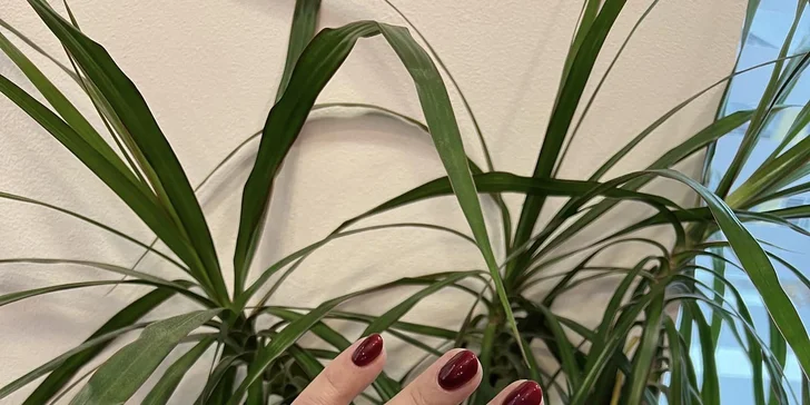 Star Nails: manikúra s Shellacem či mokrá pedikúra s gel lakem