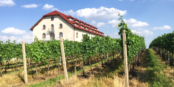 Letní relax na jižní Moravě: ubytování mezi vinicemi, polopenze a víno