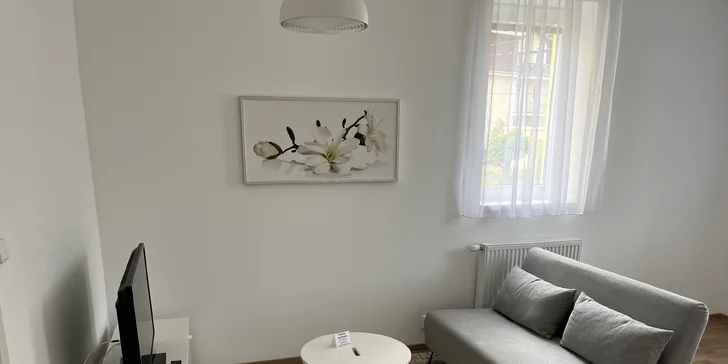 Jednopodlažní apartmán