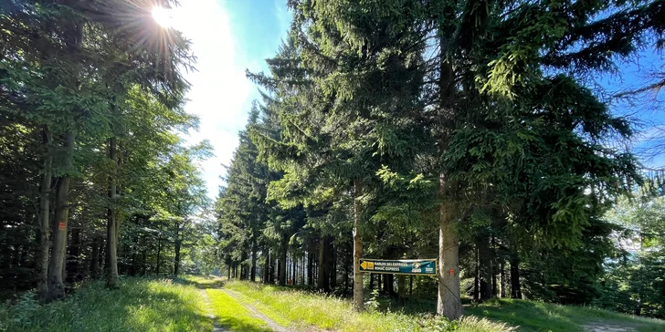 Ráj v přírodě Jeseníků s bohatou polopenzí a venkovním i vnitřním wellness, 1km od celoroční Ski Arény