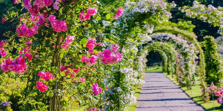 Zámek i rozkvetlé zahrady Laxenburg a návštěva Slavnosti růží v Badenu