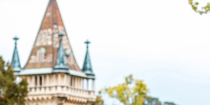 Zámek i rozkvetlé zahrady Laxenburg a návštěva Slavnosti růží v Badenu