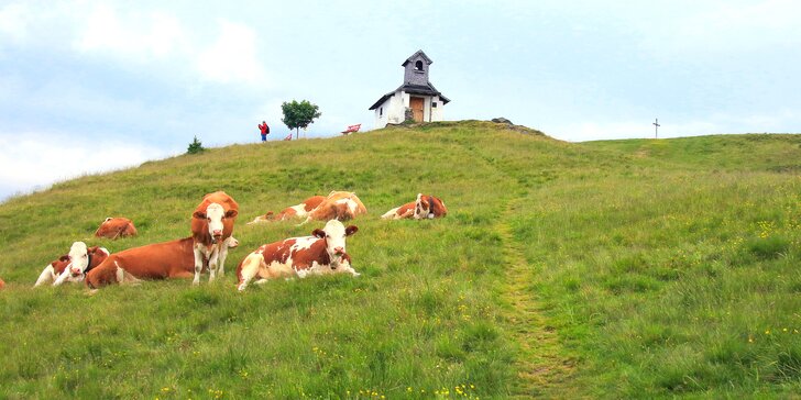 Údolí Wildschönau a slavnosti shánění stád: doprava tam i zpět a ubytování s polopenzí